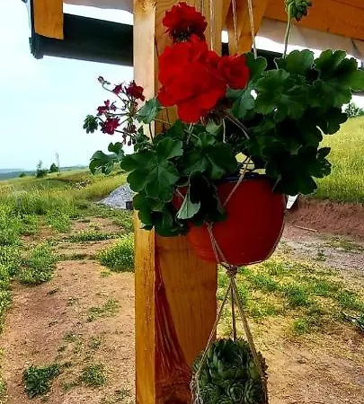 Casa vacanze Markove Kolibe 3, Uvac